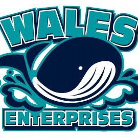 Wales Enterprises